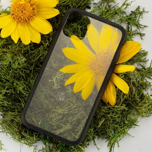 Pela iPhone 11 -suojakuori, ympäristöystävällinen, läpinäkyvä musta