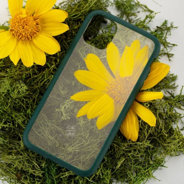 Pela iPhone 11 Pro Kuori Eco Friendly Läpinäkyvä Vihreä