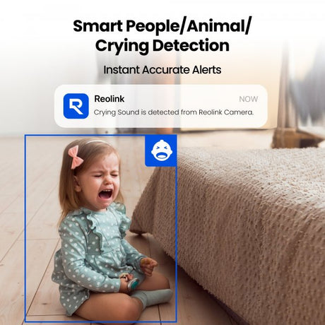Reolink E321 Smart sisäkamera Wi-Fi Panorointi/Kallistus