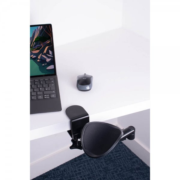 desire2 MouseMate Rannetuki