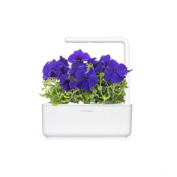 Click and Grow Smart Garden täyttöpakkaus 3 kpl – sininen petunia