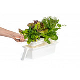 Click and Grow 25 - Valkoinen (Salad Greens 54x pakkaus)
