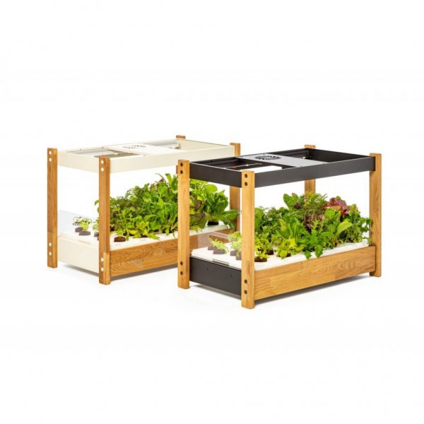 Click and Grow 25 - Valkoinen (Salad Greens 54x pakkaus)