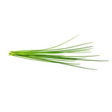 Click and Grow Smart Garden täyttöpakkaus 3 kpl - Ruohosipuli