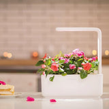Click and Grow Smart Garden 3 Aloituspakkaus - Valkoinen