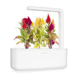 Click and Grow Smart Garden täyttöpakkaus 3 kpl - Plymört