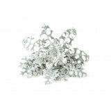 Click and Grow Smart Garden täyttöpakkaus 3 kpl - hopeatammi