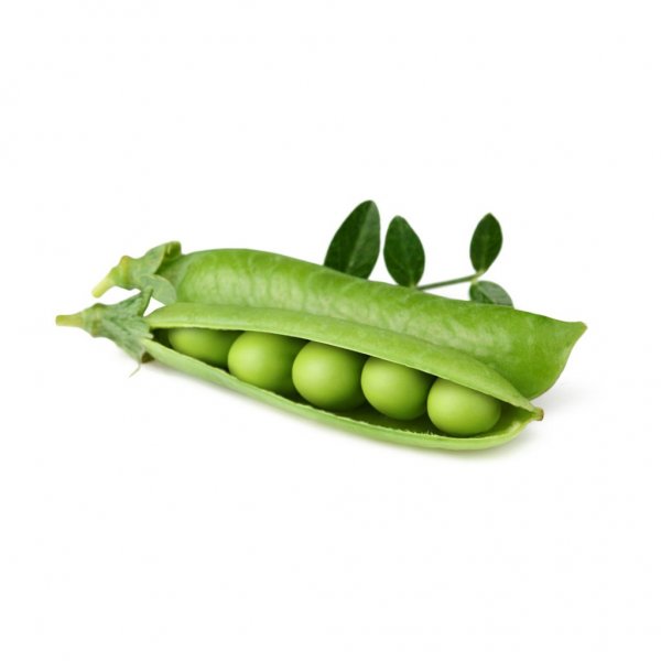 Click and Grow Smart Garden täyttöpakkaus 3 kpl - herne