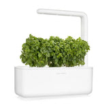 Click and Grow Smart Garden täyttöpakkaus 3 kpl - Hienolehtinen basilika
