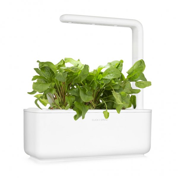 Click and Grow Smart Garden Refill 3-pack - Metsäapila