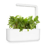 Click and Grow Smart Garden Refill 3-pack - Metsäapila
