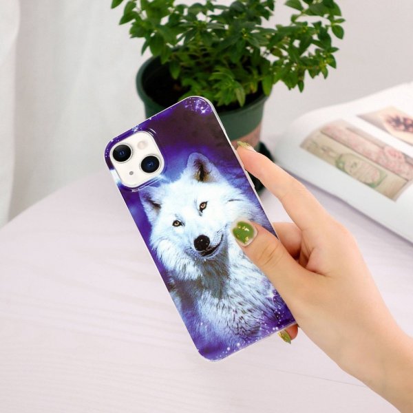 iPhone 14 Kuori Aihe Jääsusihovi