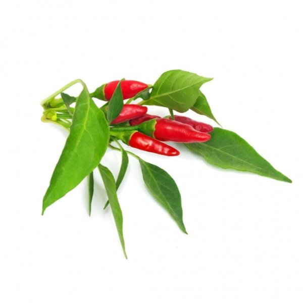 Click and Grow Smart Garden täyttöpakkaus 3 kpl - Piri Piri