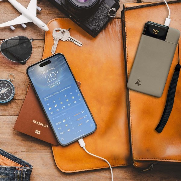 Aqiila Powerbank Powerbird B10 10 000 mAh Sammal