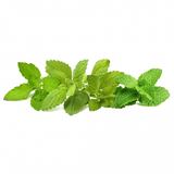 Click and Grow Smart Garden täyttöpakkaus 9 kpl Rauhoittava teeseos
