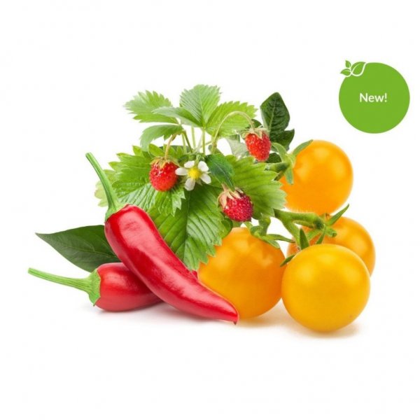 Click and Grow Smart Garden täyttöpakkaus 9 kpl Hedelmä- ja vihannesmix