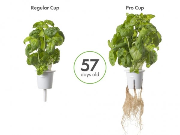 Click and Grow Pro -istutuskupit, 9 kpl