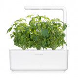 Click and Grow Smart Garden täyttöpakkaus 3 kpl - Thaibasilika