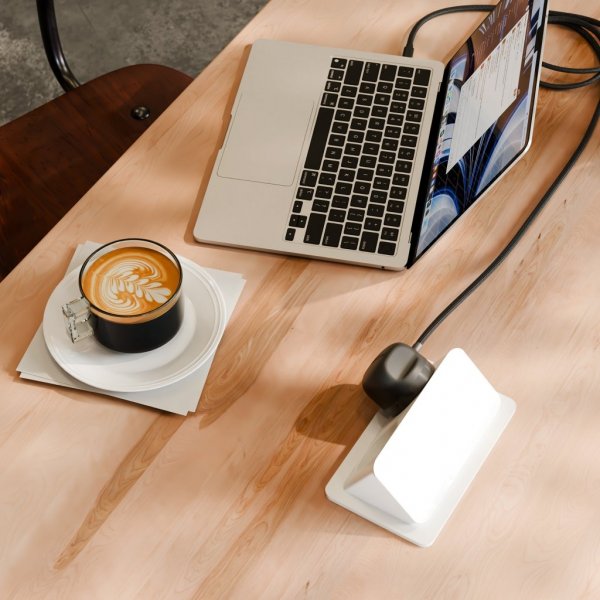Twelve South PowerCord USB-C-laturi 1,2 metriä Slate