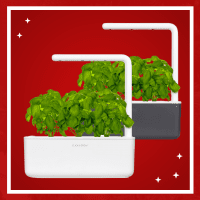 Tulevaisuuden viljely - sisätiloissa