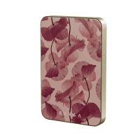 Powerbank MagSafe 5000 mAh Tender Kiss Kulta