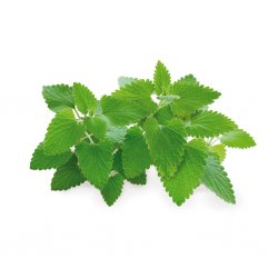 Älypuutarhan täyttöpakkaus, jossa on kolme pussukkaa - kissanminttu