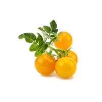 Smart Garden Refill 3 kpl - Keltainen tomaatti