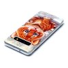 Samsung Galaxy S10 Skal Motiv Tigerunge