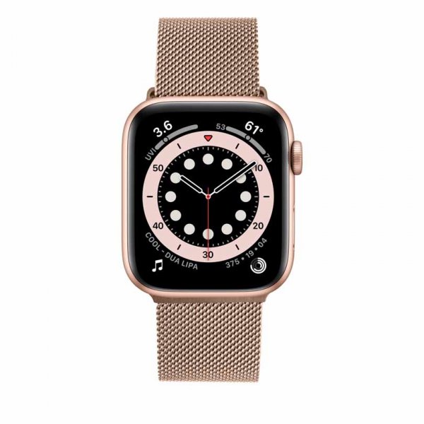 Apple Watch 38/40/41/42mm Ranneke Mesh Strap Ruusukulta